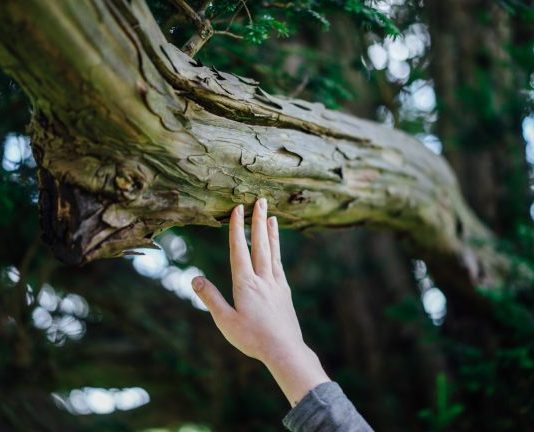 dünya çevre günü