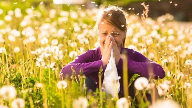 Çayır çimen alerjisi nedir? Belirtileri ve korunma yolları neler?