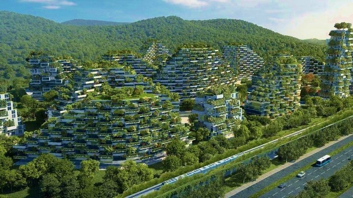 Çin ilk Orman Kenti inşaya hazırlanıyor