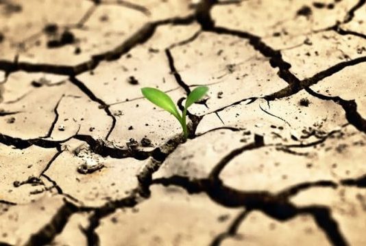 Çölleşme ile mücadele için neler yapılmalı?