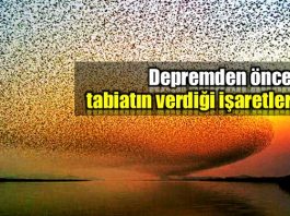 Depremden önce tabiatın verdiği şaşırtıcı işaretler