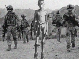 devlet gerekli mi ikinci dünya savaşı