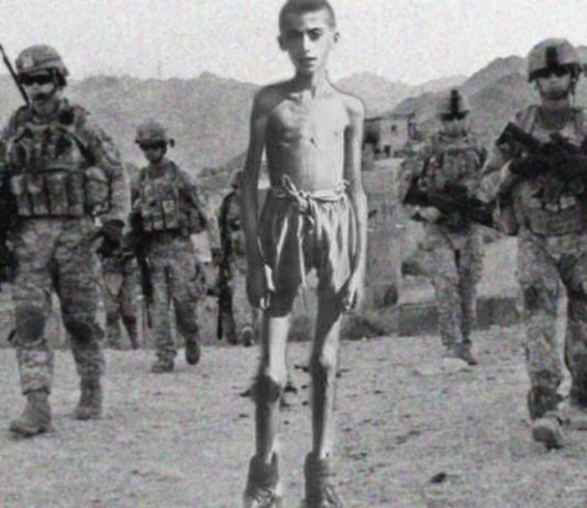 devlet gerekli mi ikinci dünya savaşı