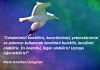 Düşünüyorum öyleyse özgürüm! Düşünüyorum öyleyse özgürüm martı jonathan livingston