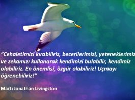 Düşünüyorum öyleyse özgürüm martı jonathan livingston