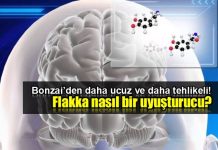 Flakka: Yeni nesil ölümcül uyuşturucu maddesi Flakka: Yeni nesil ölümcül uyuşturucu maddesi