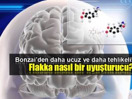 Flakka: Yeni nesil ölümcül uyuşturucu maddesi