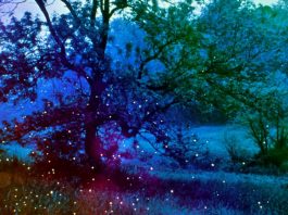 Gördün mü güzelliği?