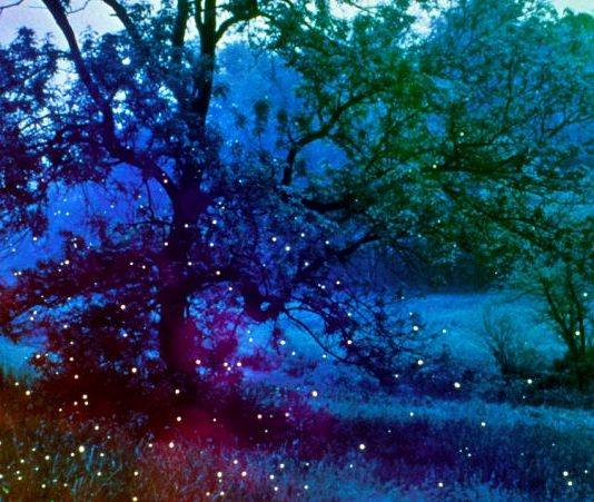 Gördün mü güzelliği?