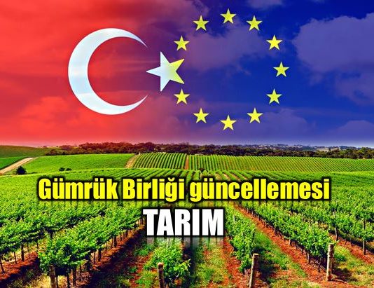 Gümrük Birliği güncellemesi ile tarım ürünlerinin dahil edilmesi