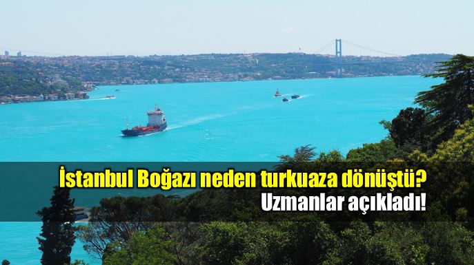 İstanbul Boğazı neden turkuaz rengine dönüştü?