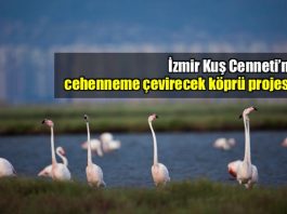 İzmir Kuş Cenneti cehenneme çevirecek köprü projesi