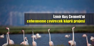 İzmir Kuş Cenneti cehenneme çevirecek köprü projesi