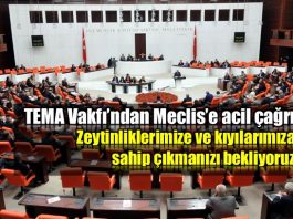 TEMA Vakfı'ndan milletvekillerine acil çağrı zeytinlikler kıyılar sanayi kanunu
