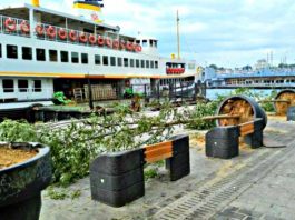 en büyük afet insan