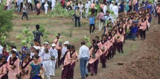 Hindistan'da ağaç dikme kampanyasıyla dünya rekoru kırıldı