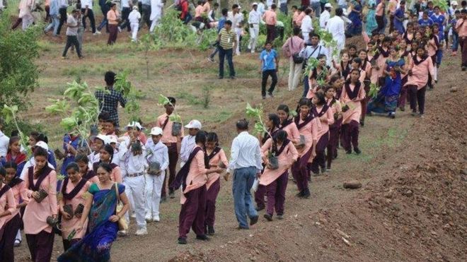 Hindistan'da ağaç dikme kampanyasıyla dünya rekoru kırıldı