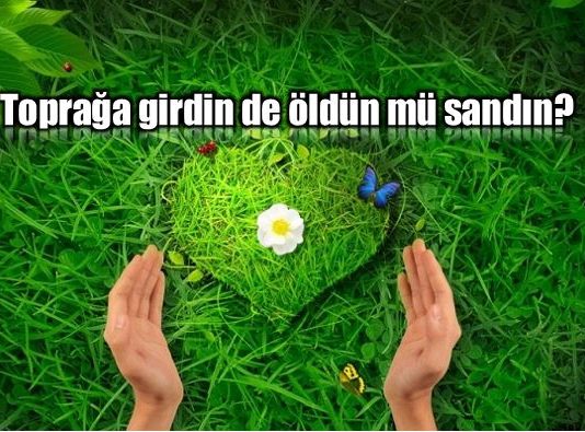 Sonsuz hayat: Toprağa girdin de öldün mü sandın