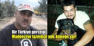 Türkiye'de hukuk: Köpeğe tazminat var; madenciye yok!