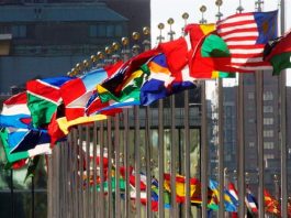 türkiye dış politika akp erdoğan putin esad abd ırak suriye