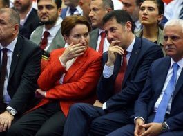 meral akşener devlet bahçeli