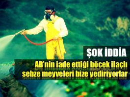 AB'nin iade ettiği böcek ilaçlı sebze meyveleri bize yediriyorlar