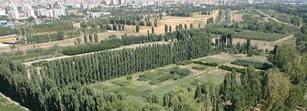 Atatürk Orman Çiftliği