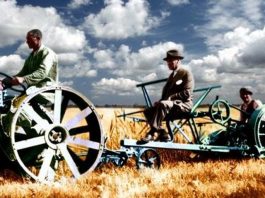 Atatürk Orman Çiftliği: Kurbağa teorisinin küçük bir fotoğrafı