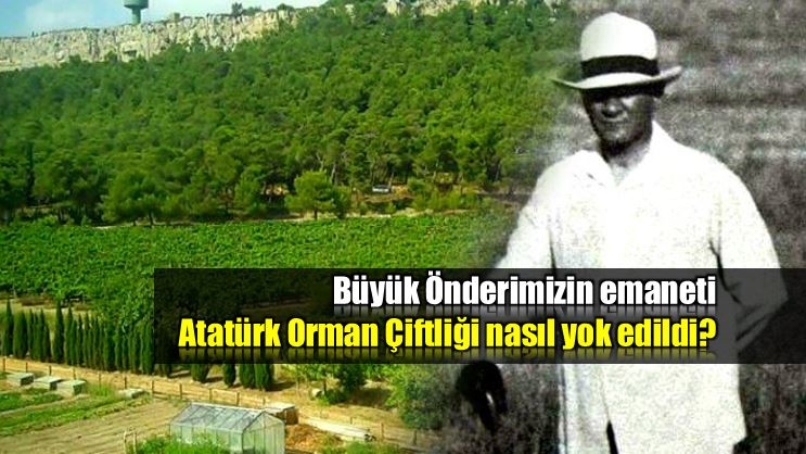 Atatürk Orman Çiftliği mi yoksa Ali Baba'nın çiftliği mi?