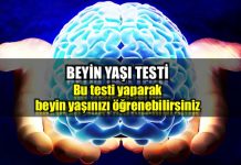 Beyin yaşı testi: Bu test ile beyin yaşınızı öğrenebilirsiniz! Beyin yaşı testi: Bu testi cevaplayarak beyin yaşınızı öğrenebilirsiniz!
