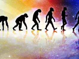 Evrim Teorisi nedir?