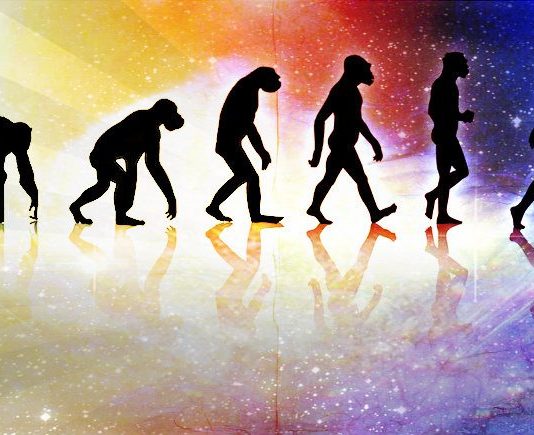 Evrim Teorisi nedir?