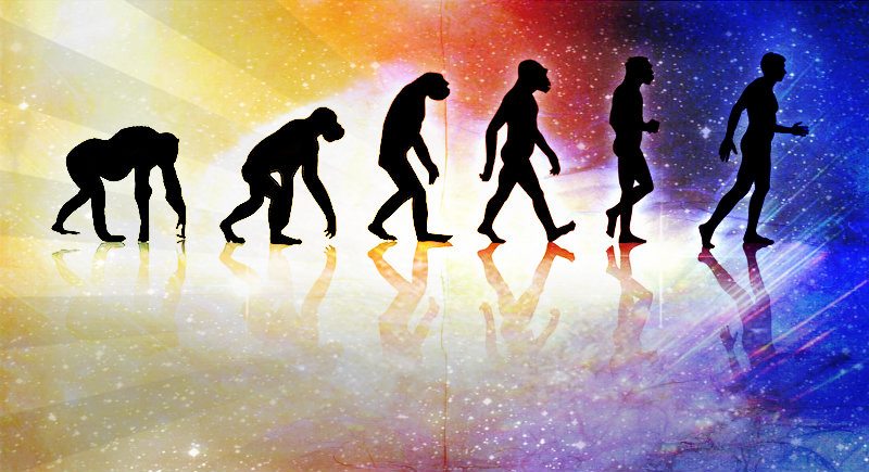 Evrim Teorisi nedir?