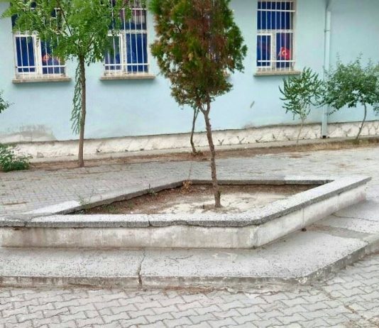 Hayal olmuş bir okul havuzunun düşündürdükleri cumhuriyet okulları