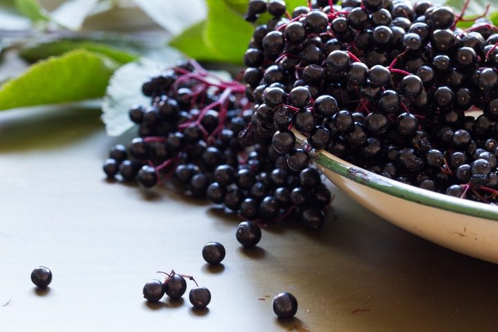 Acai üzümü nedir? Acai berry faydaları neler?