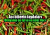 Acı biber: Dünyanın en iyi ve en ucuz ilacı