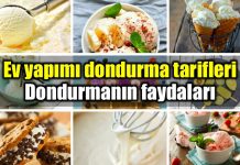 Ev yapımı dondurma tarifleri: Dondurmanın faydaları Ev yapımı dondurma tarifi: Dondurmanın faydaları