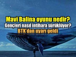Mavi Balina oyunu nedir? Nasıl öldürüyor?