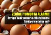Zehirli yumurta alarmı: Türkiye etkilenir mi? zehirli yumurta Avrupa yumurta zehirlenmesi Türkiye