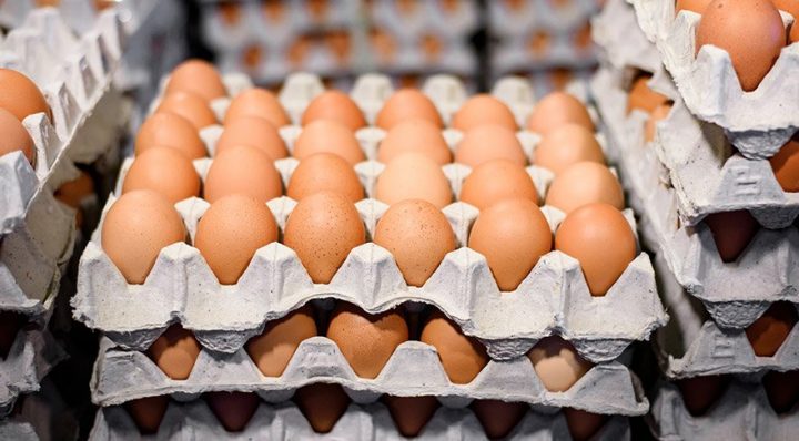 Zehirli yumurta alarmı için Tarım Bakanlığı’ndan açıklama
