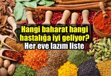 Hangi baharat hangi hastalıklara iyi gelir? Baharatların faydaları Hangi baharat hangi hastalıklara iyi gelir? Baharatların faydaları
