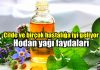 Hodan yağı faydaları neler? Hodan yağı neye iyi gelir? Hodan yağı faydaları neler? Hodan yağı neye iyi gelir?