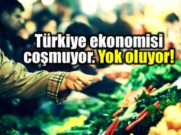 Türkiye ekonomisi coşmuyor, yok oluyor!