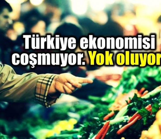 Türkiye ekonomisi coşmuyor, yok oluyor!
