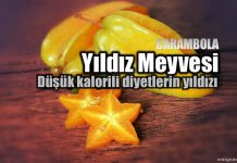 Yıldız meyvesi karambola carambola faydaları neler diyet
