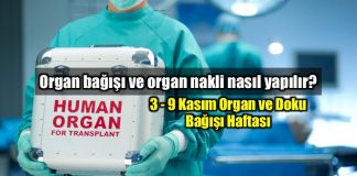 Organ bağışı ve organ nakli nasıl yapılır?