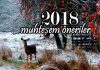 2018 yeni yıl için muhteşem öneriler