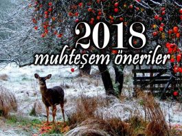 2018 yeni yıl için muhteşem öneriler
