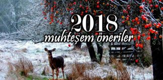 2018 yeni yıl için muhteşem öneriler