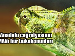 Anadolu coğrafyasının iMANı hür bukalemunları